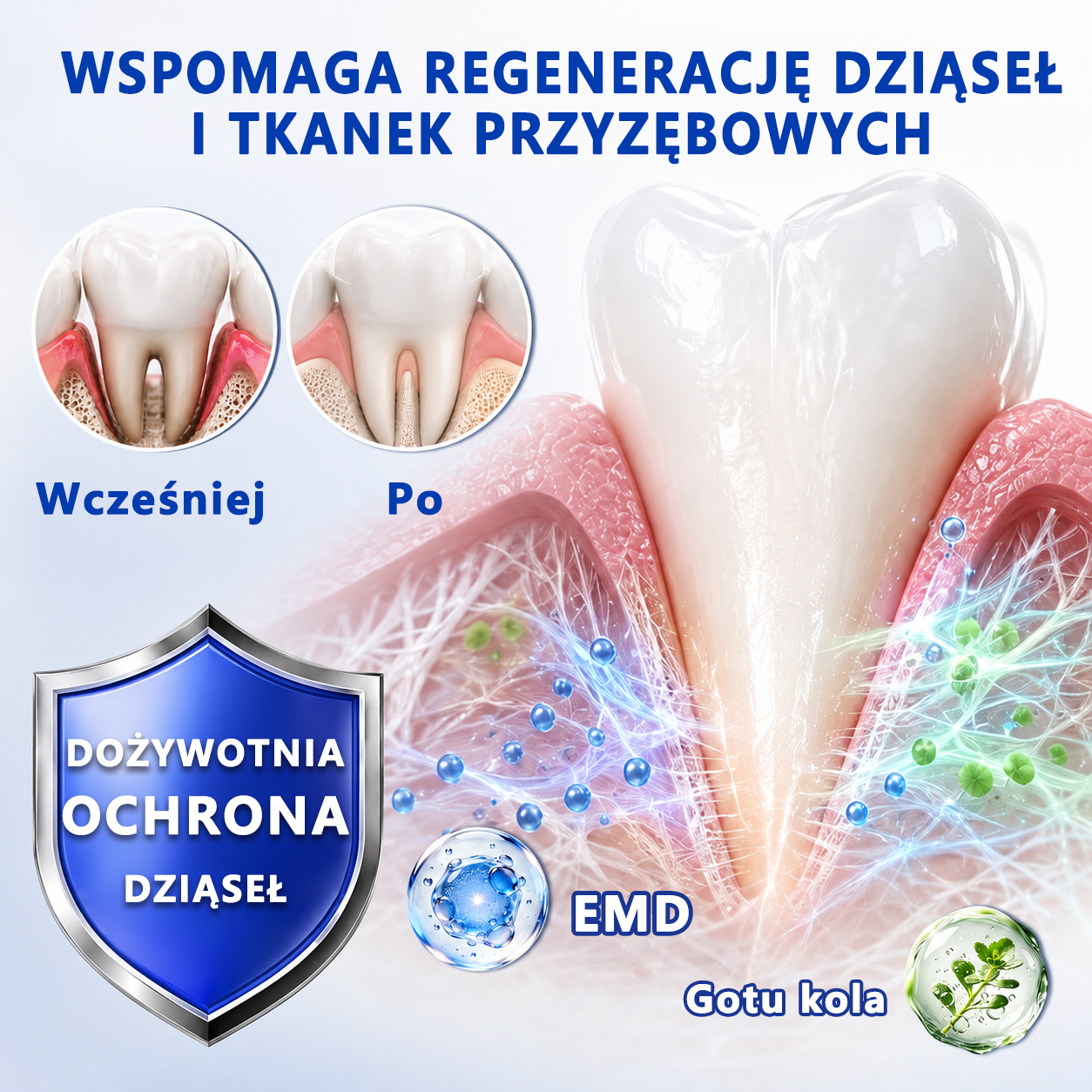 🌱🌱𝑮𝒍𝒊𝒎𝒎𝒆𝒓𝒍𝒚® 𝑮𝒖𝒎𝑹𝒆𝒗𝒊𝒗𝒆 𝒁̇𝒆𝒍 𝒅𝒐 𝑹𝒆𝒈𝒆𝒏𝒆𝒓𝒂𝒄𝒋𝒊 𝑫𝒛𝒊𝒂̨𝒔𝒆ł